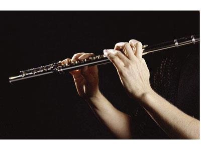 招聘迪庆长笛家教老师