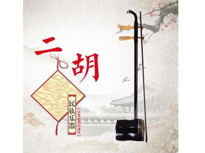 招聘迪庆二胡家教老师